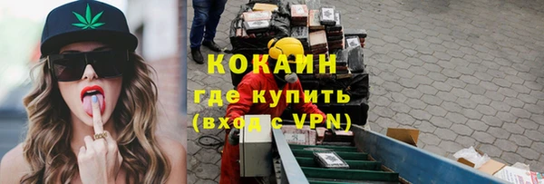 спиды Каменка