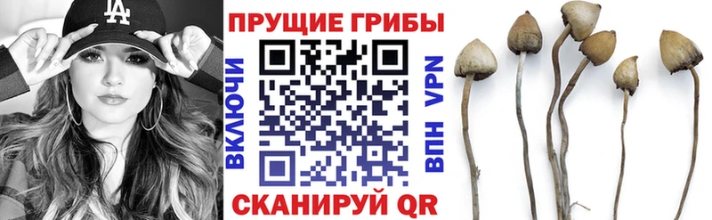 Галлюциногенные грибы Cubensis  наркотики  Каневская 